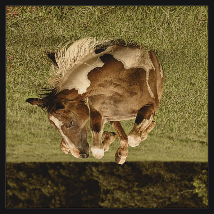 <b>12th: </b>Up is Down<br>by Lydia
