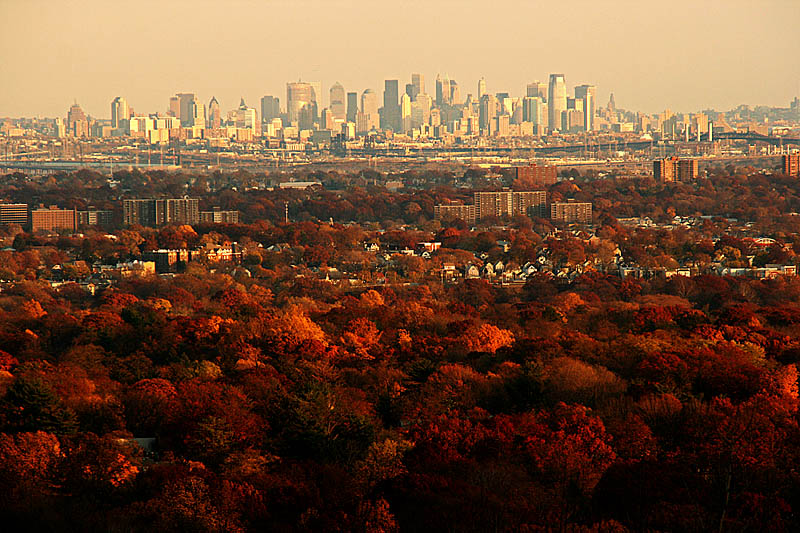 <b>6th: </b>NYC Skyline<br>by Penny Street