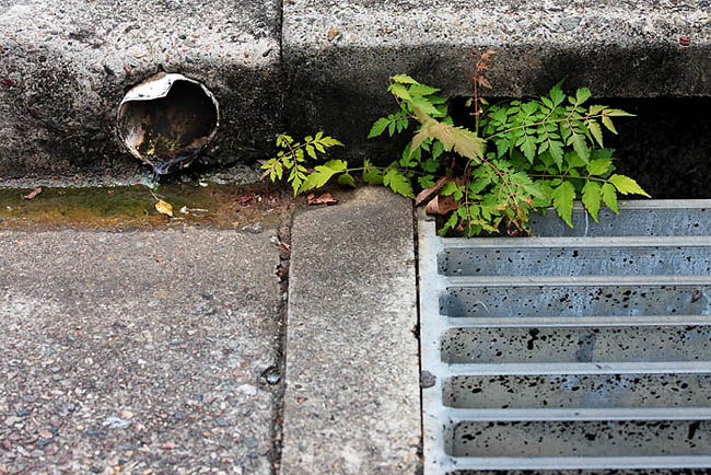 Gutter Life