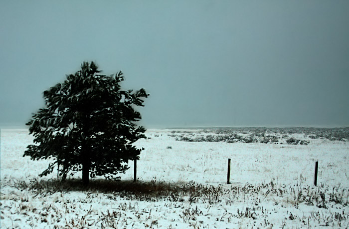Winter Begins
