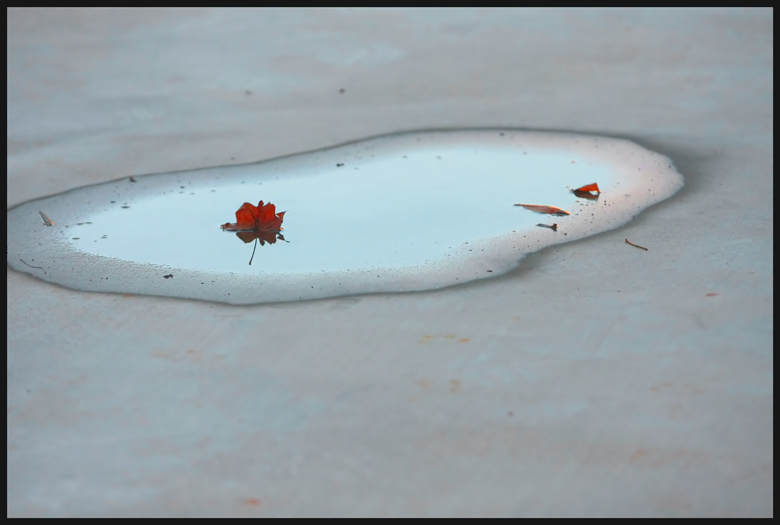 The Puddle