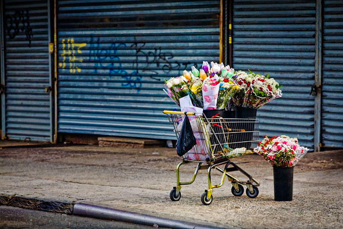 Flowers 4 Sale