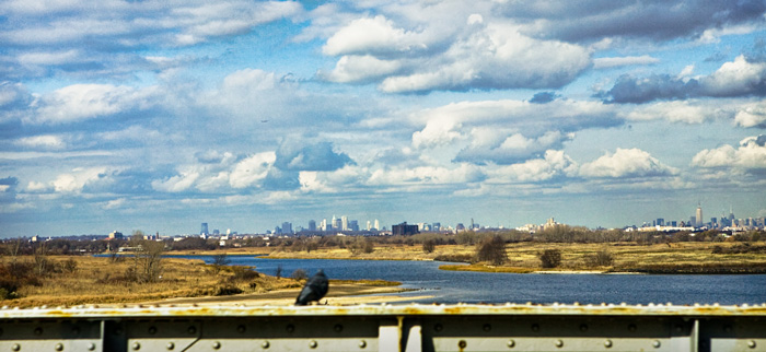 New York from Afar