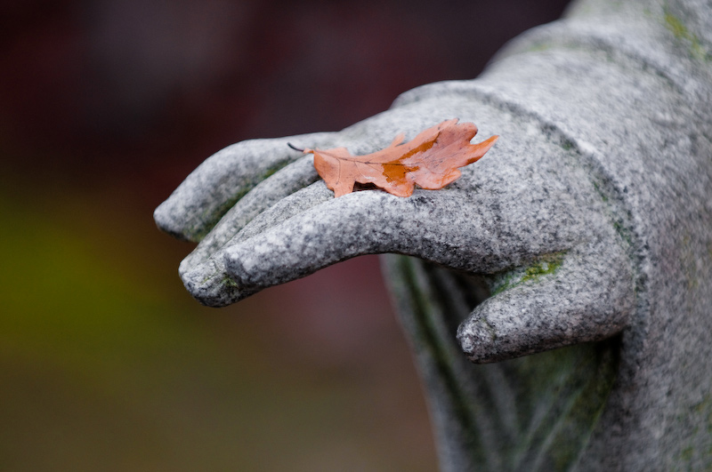 7th - Late Autumn<br>by GeraldH