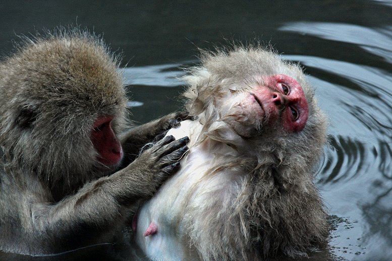 Bath Time