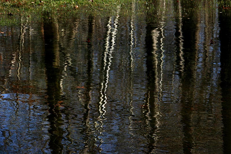 Suburban Reflection