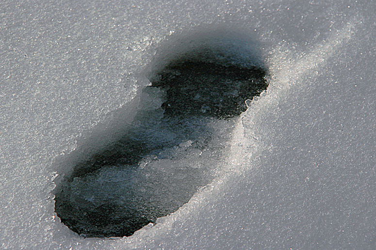 Footprint