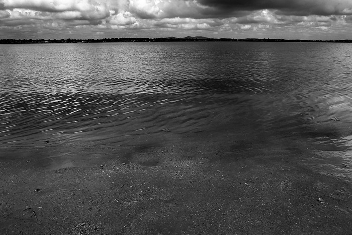 Water 14