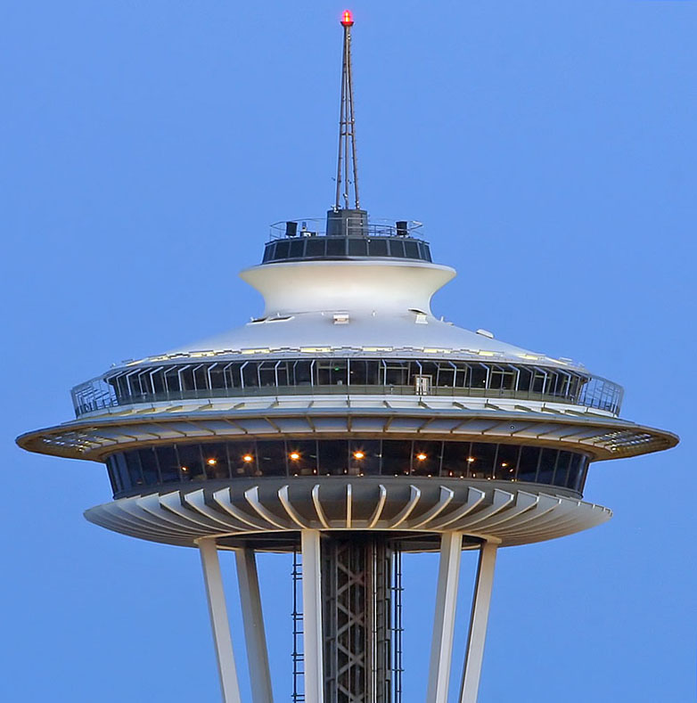 Needle