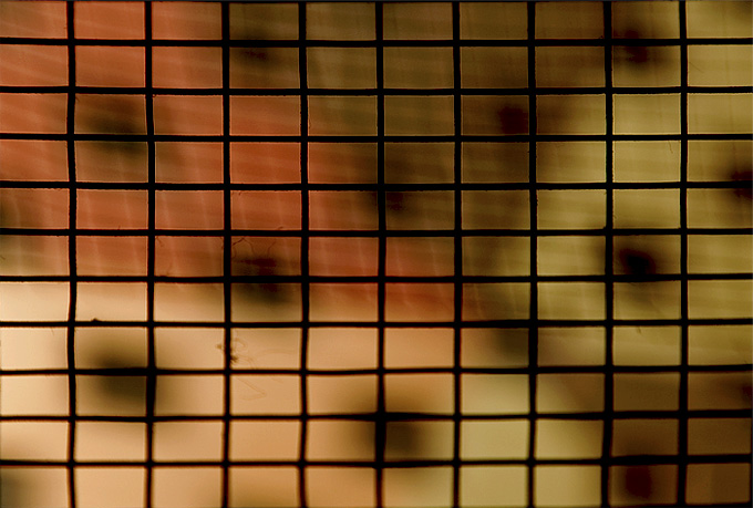 Many Little Squares