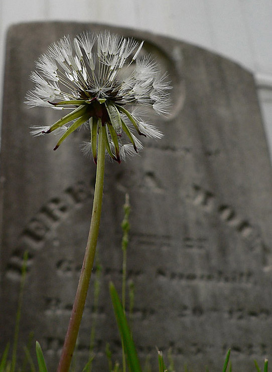 10th (tie) - Death Wish by Stan Pepka