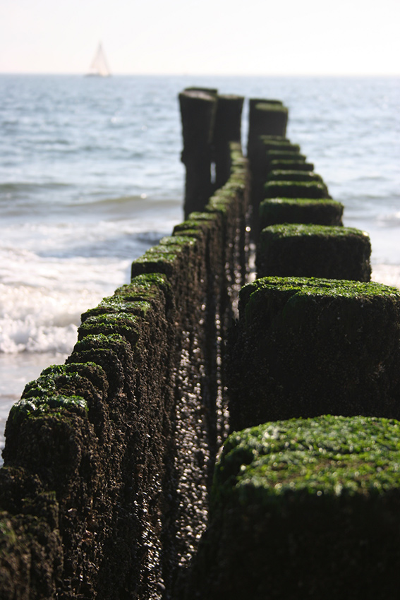 By The Seashore