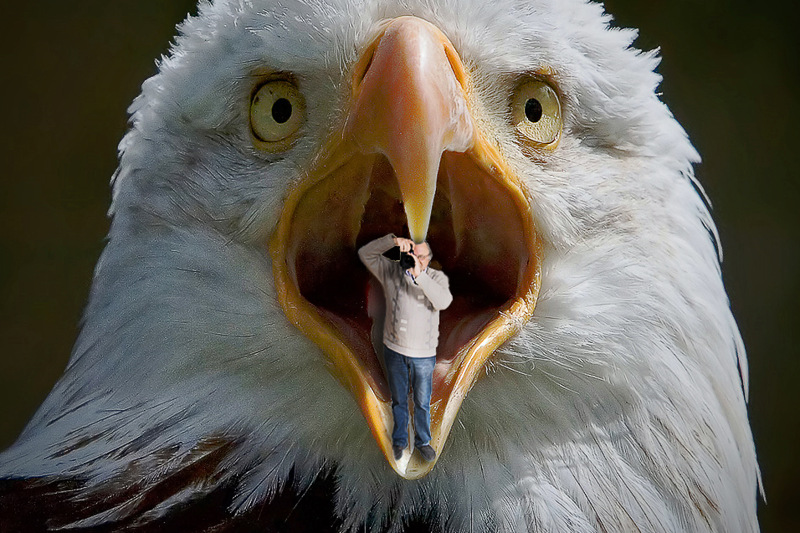 10th - The Last Minutes In The Life Of A Photo Enthusiast