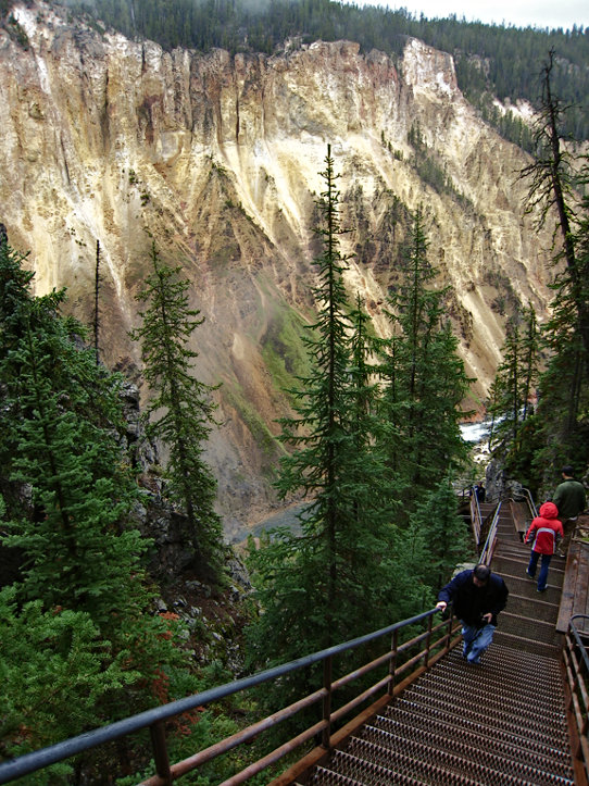 2920 328 steps  at 8000 ft altitude