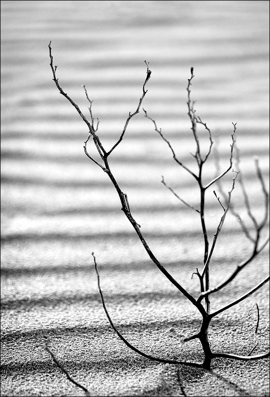 Deserted