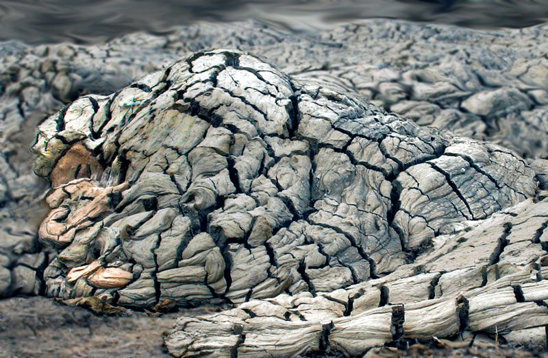 Mother Nature at Rest (*)