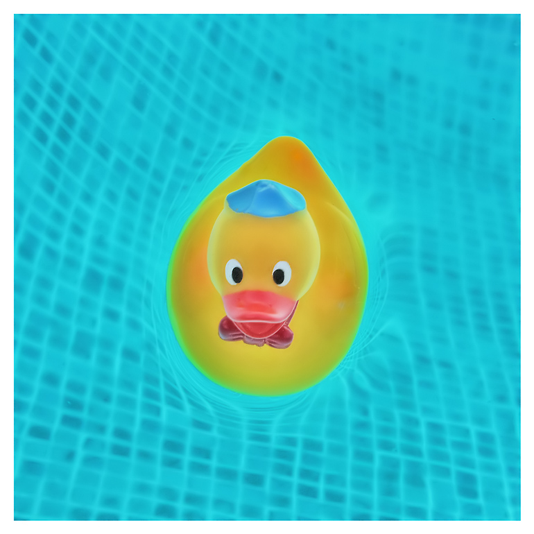 7th: A good day for Rubber Duckie<br>by Lydia too