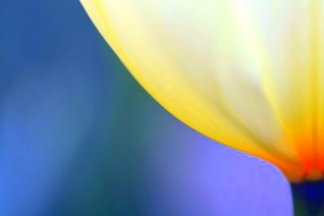 Spring Glow*
