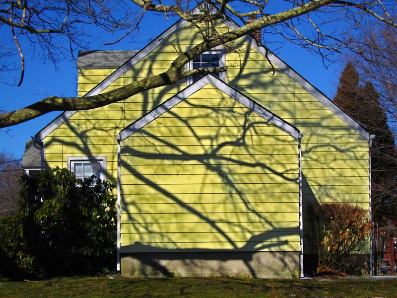 Yellow House