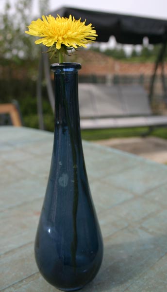 dandylion in another blue bottle