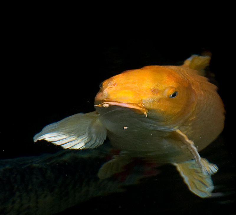 Im ready for my close-up