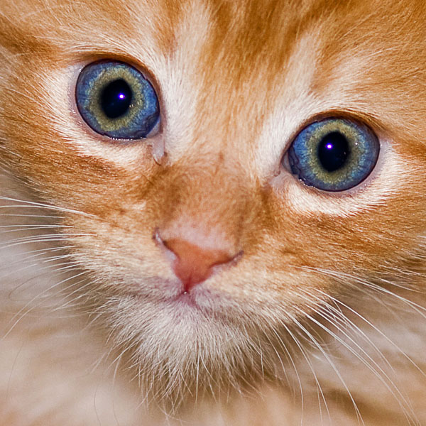 9th - This ones for Cat!<br>by RK