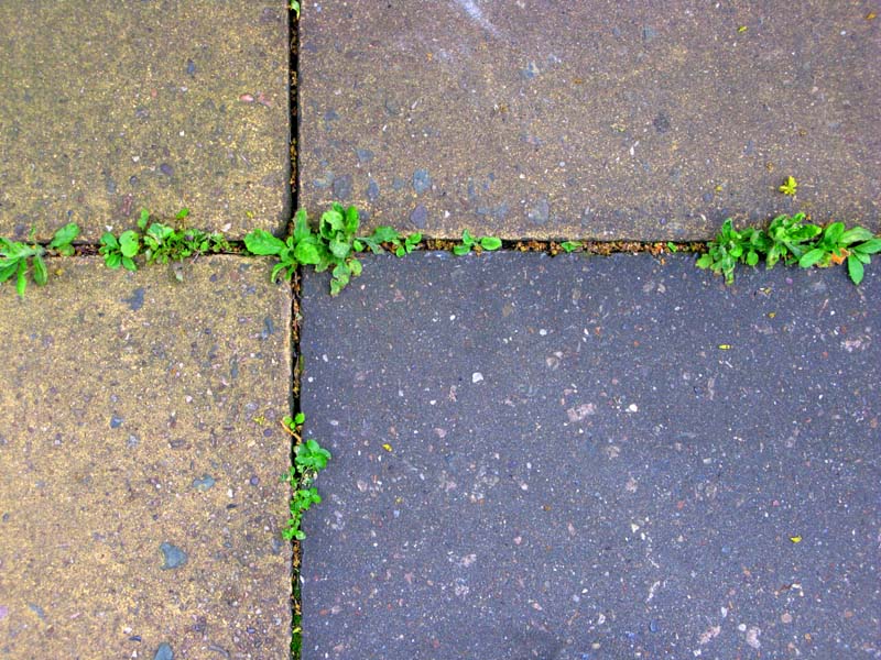 Natures power