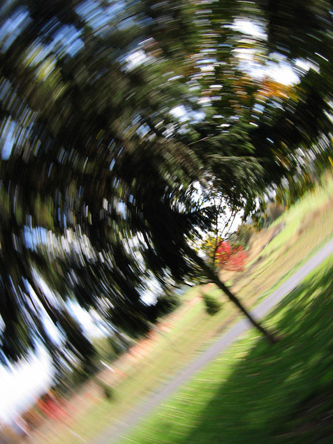 Dizzy yet?