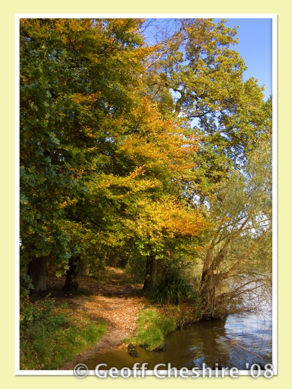 Autumn colours at Carr Mill