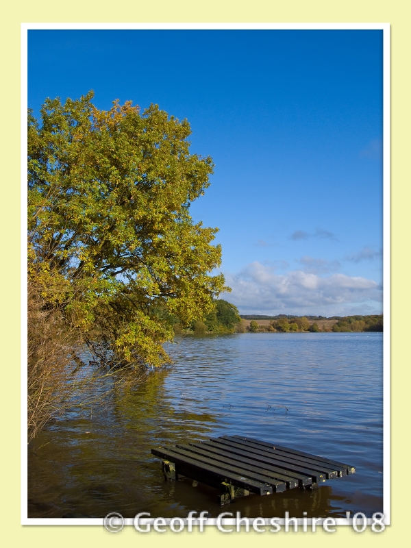 Autumn colours at Carr Mill (3)