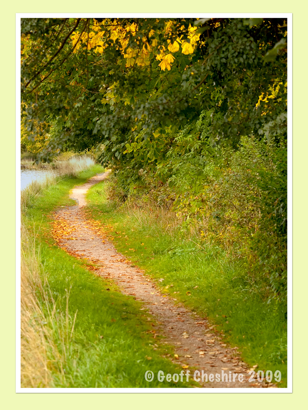Autumnal towpath