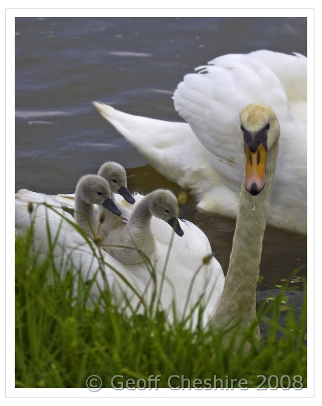 Hitchin a ride (1)
