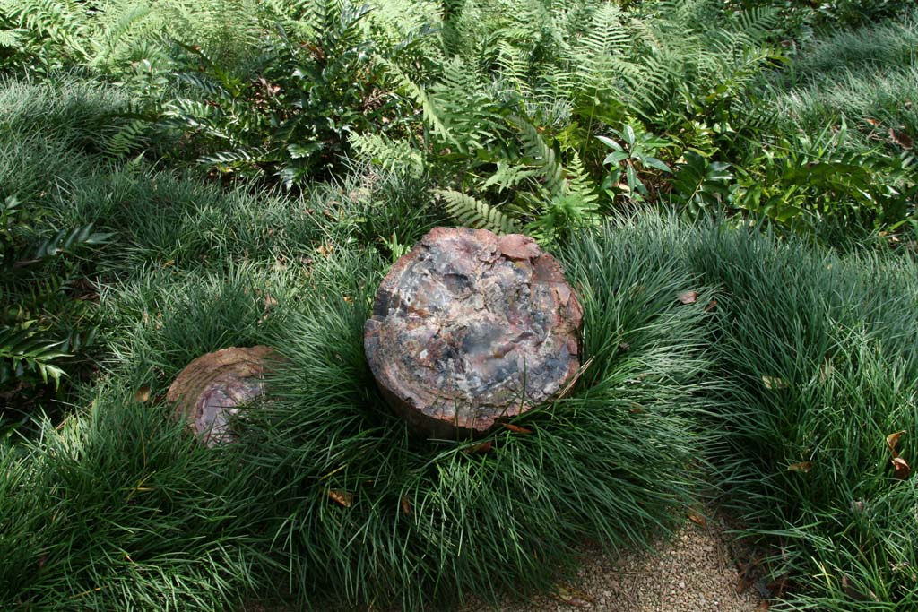 Petrified tree trunk