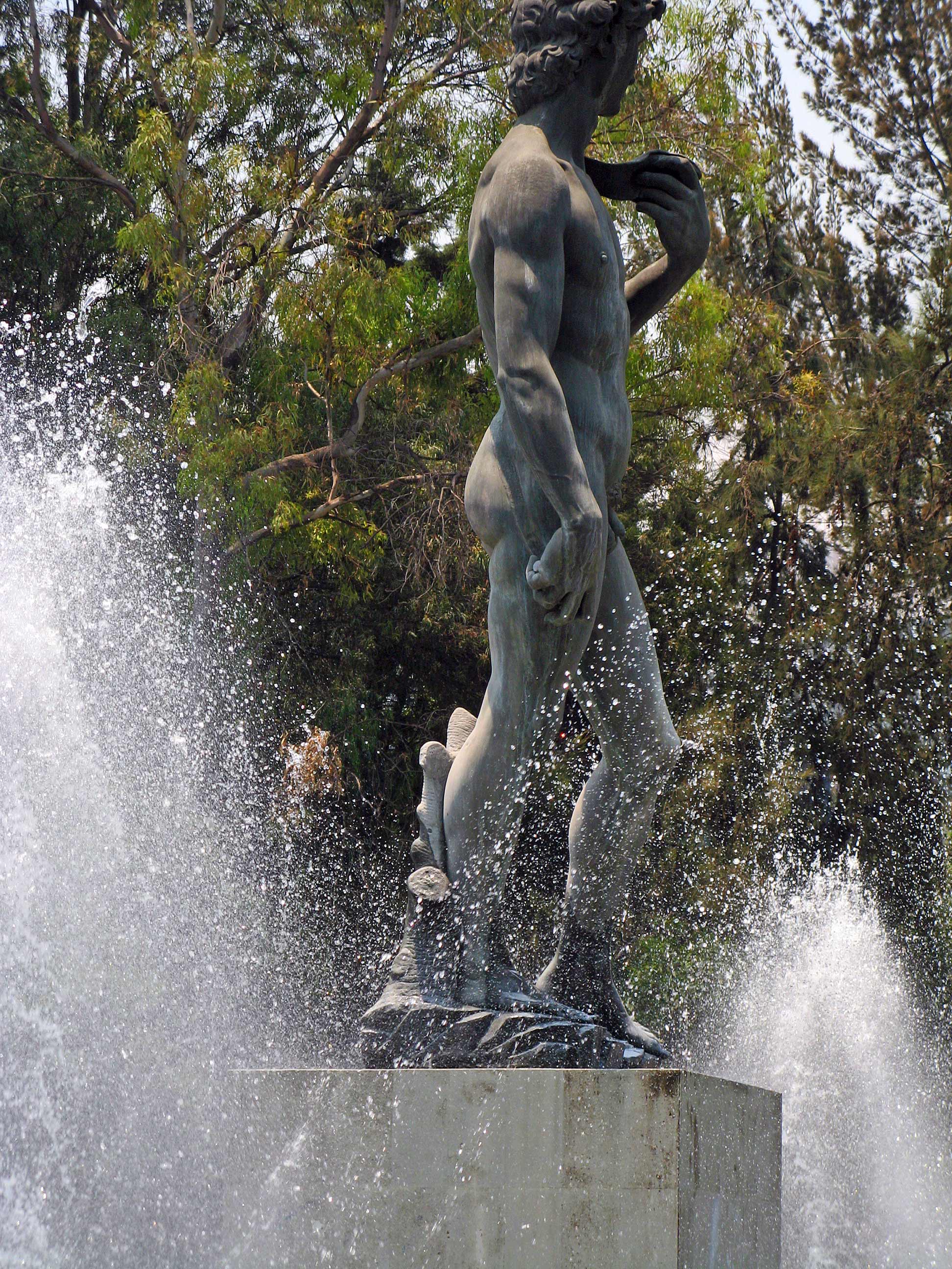 David,  Colonia Roma