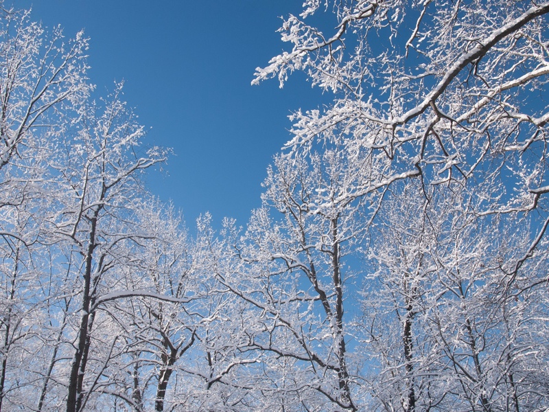 snow 3