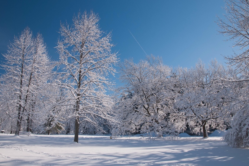 snow 17