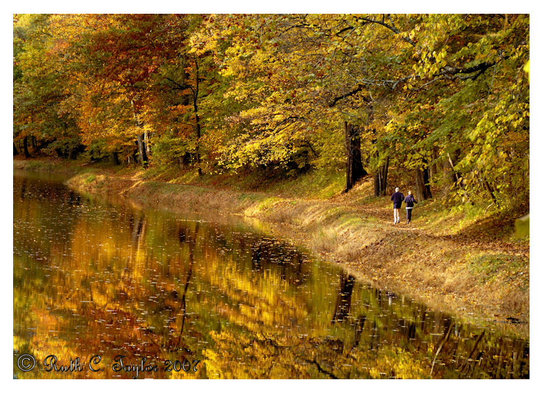 Autumn Afternoon Along the Canal