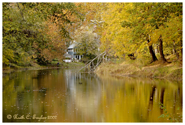 Autumn Reflections Along the Canal