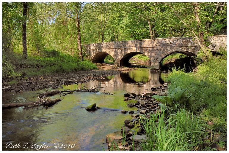 Spring Morning Along Fleecydale