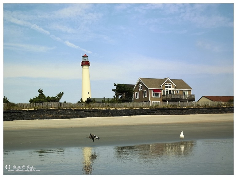 Cape May Lighthouse (also available in 18x24 puzzle) photo ...
