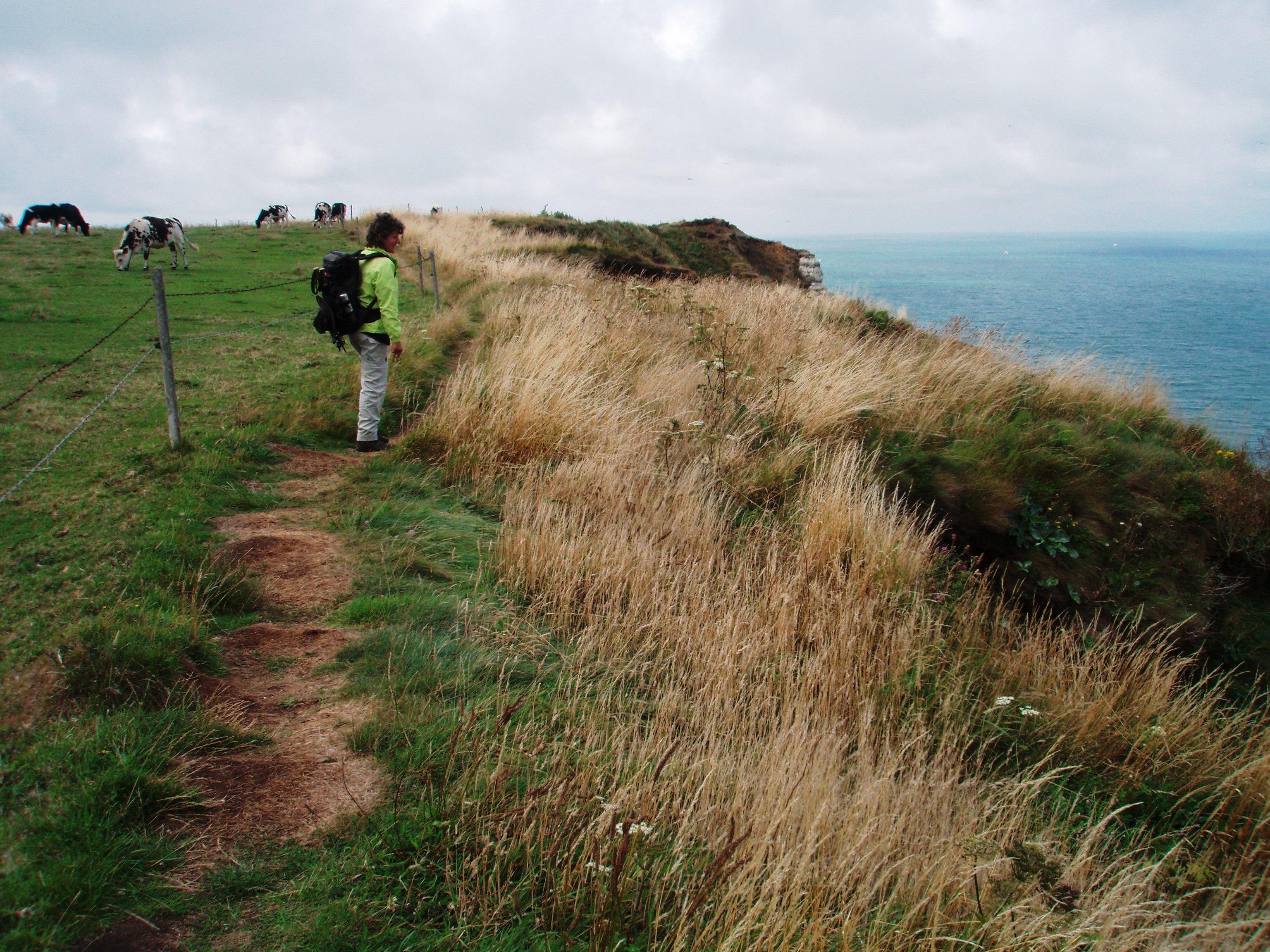 Pastures and sea