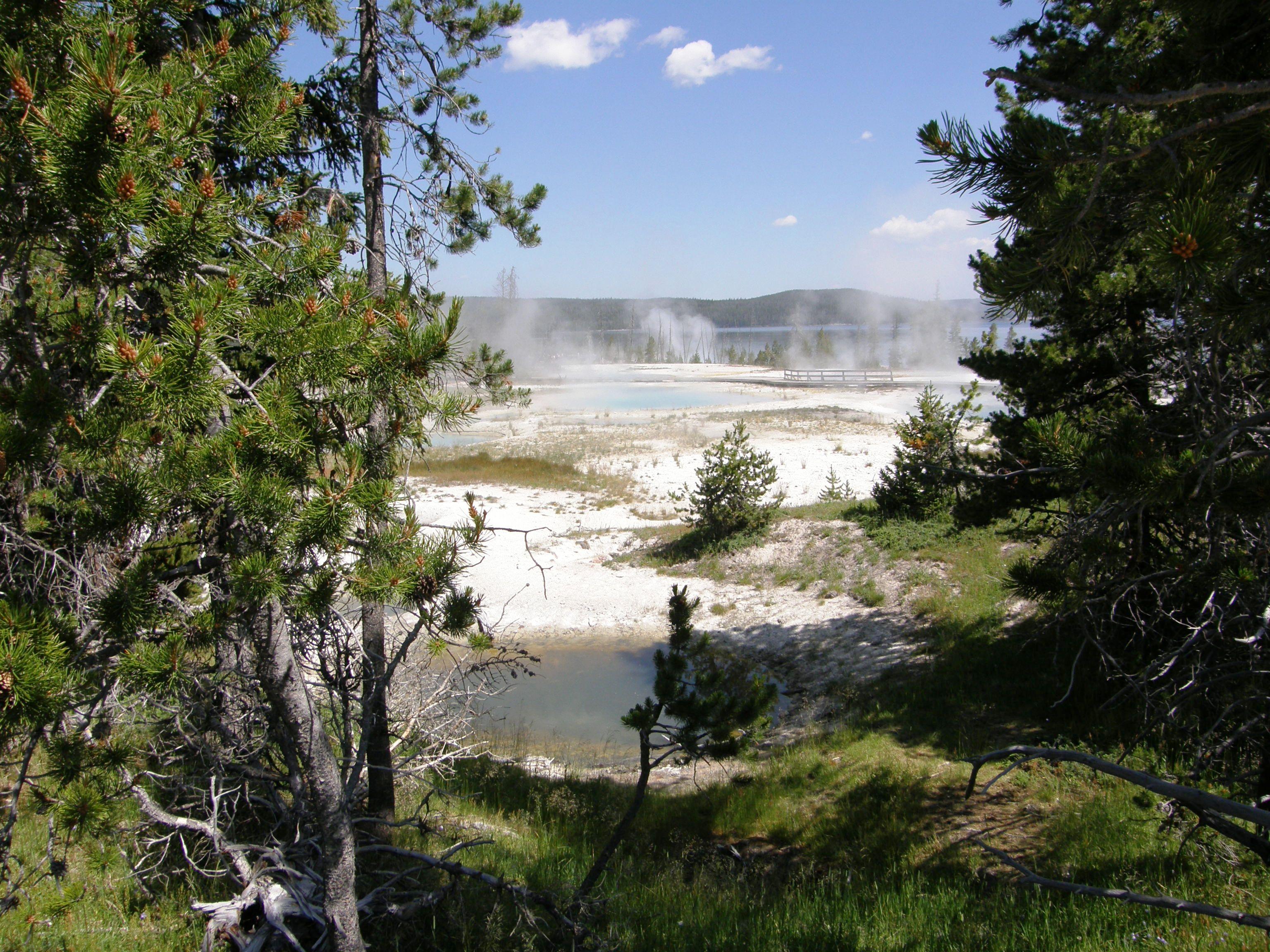 Geyser basin vista