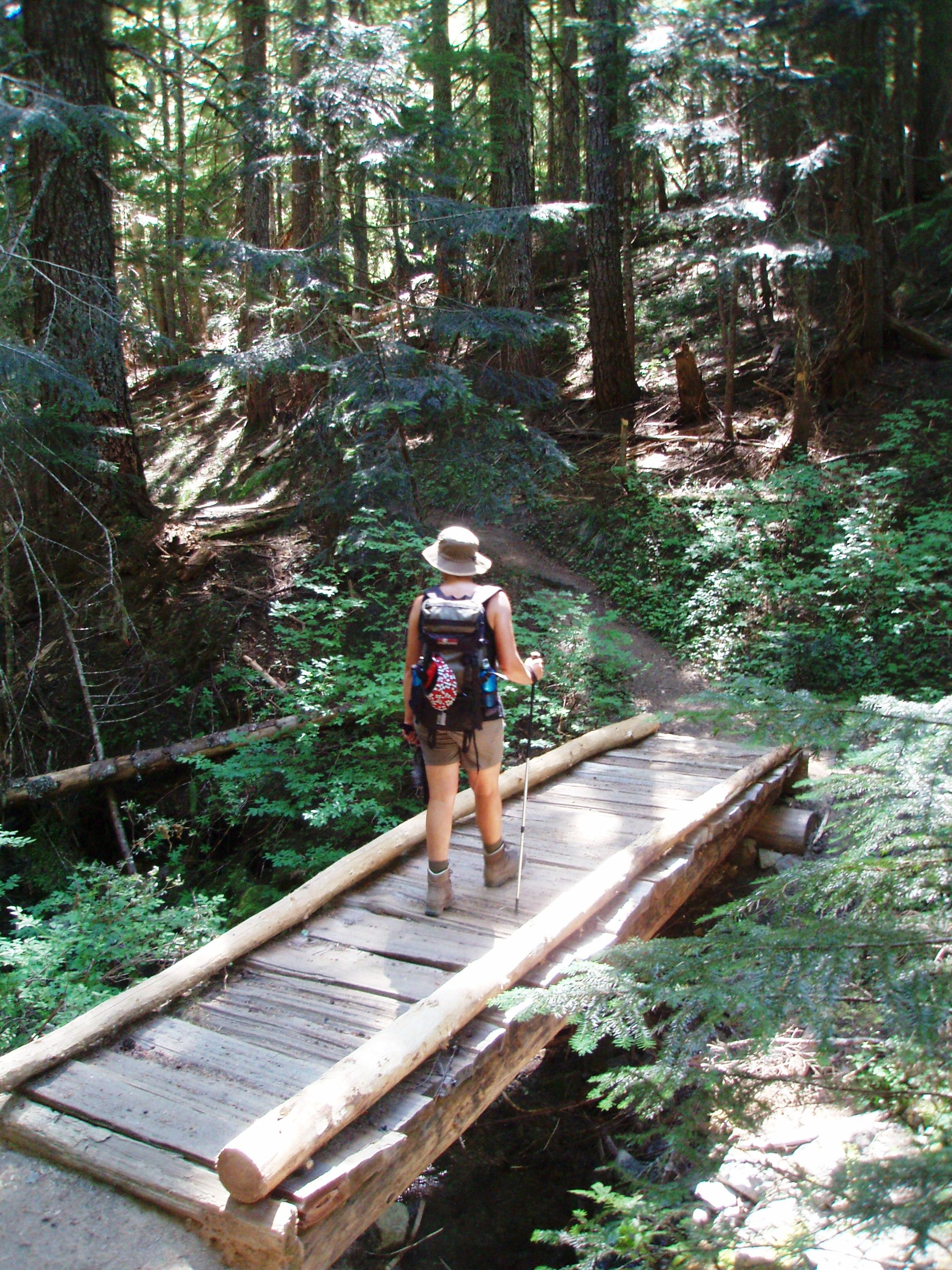 Crossing the footbridge