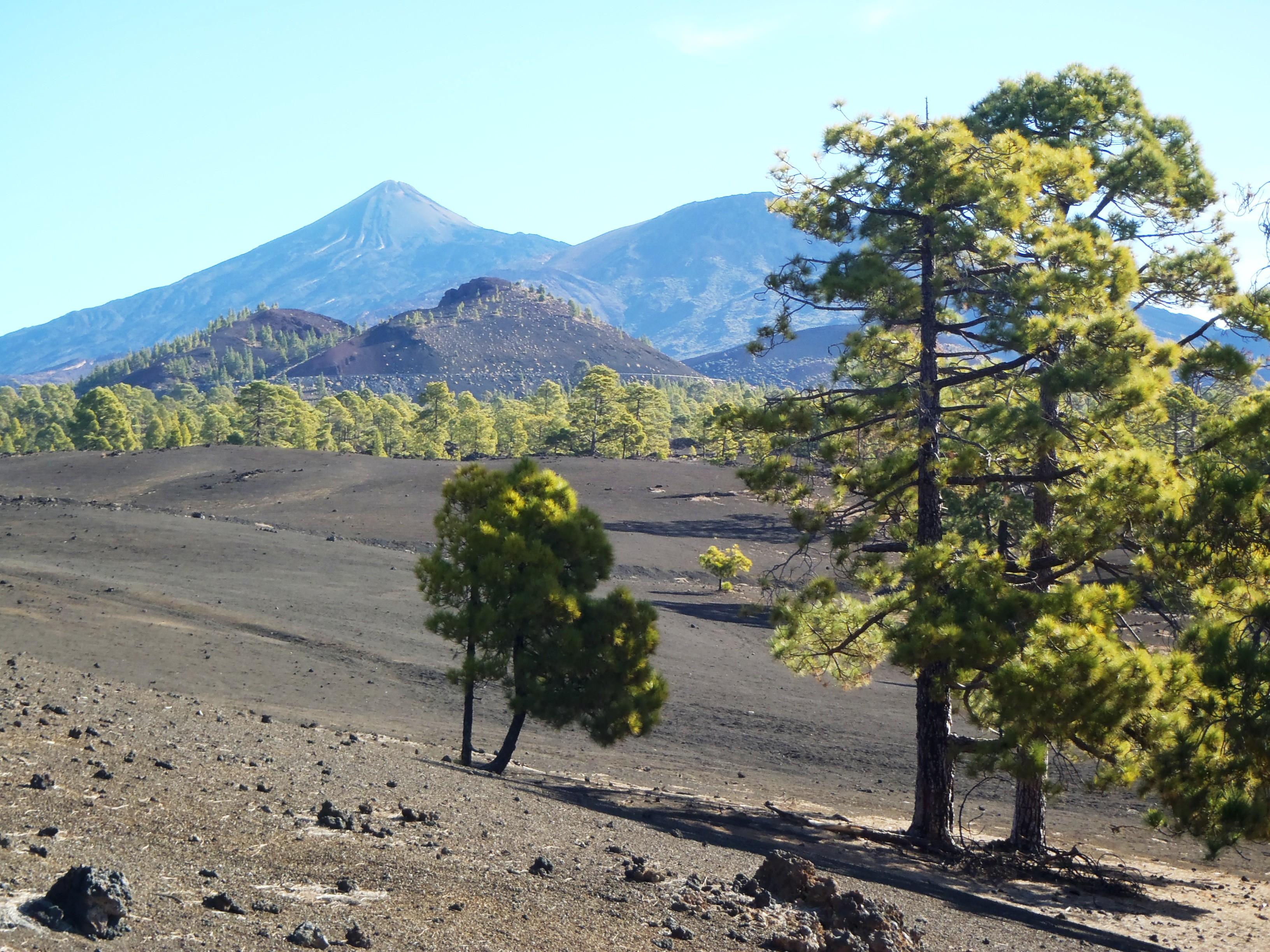 Barren landscape