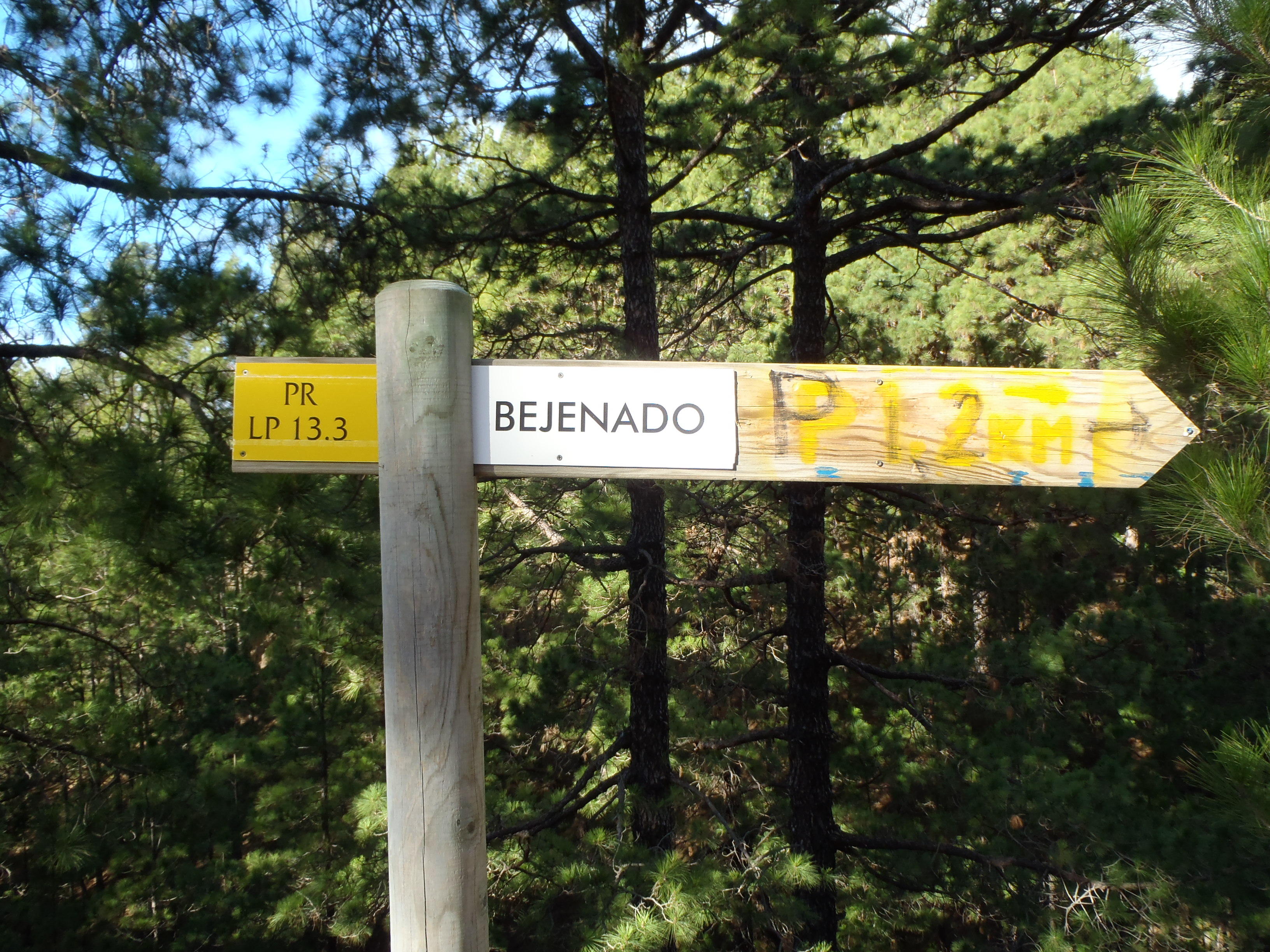 Start of trail