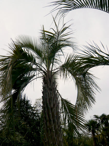 April 2008