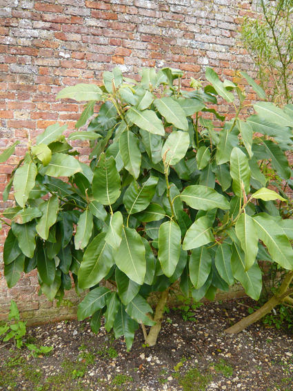 PGP walled Garden