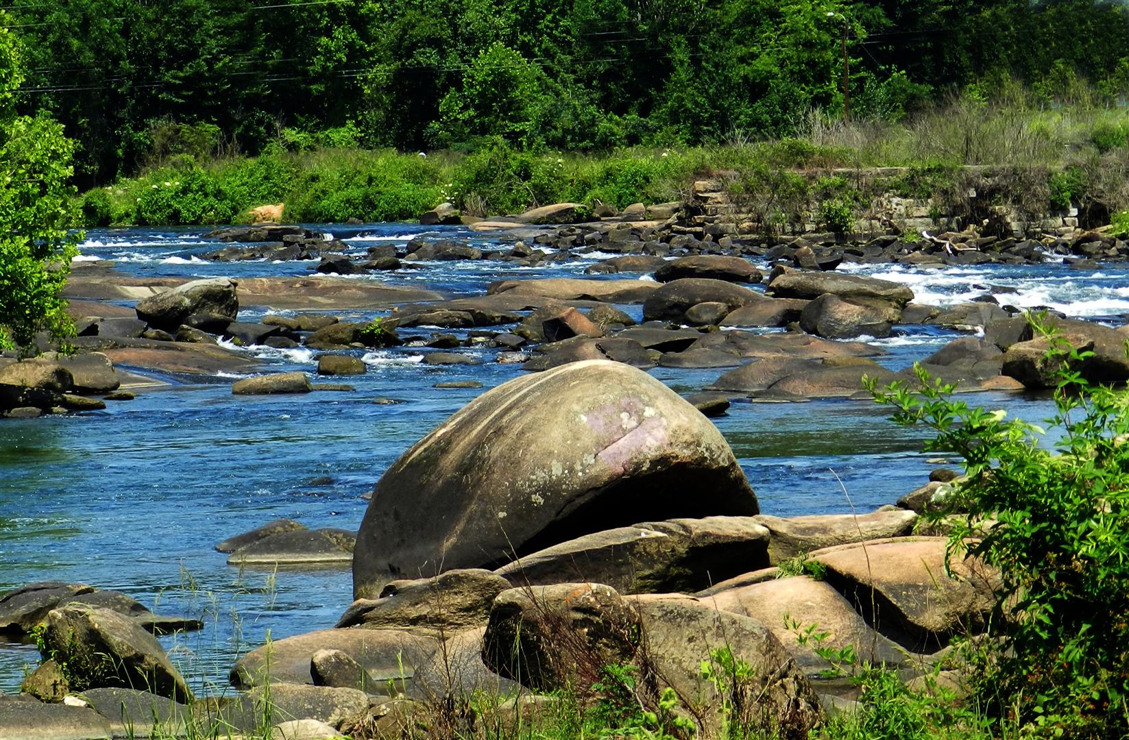 Looks like a large river Sturgeon beached itself on the rocks.