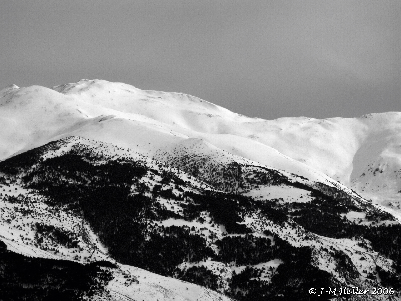 PICT0598.JPG