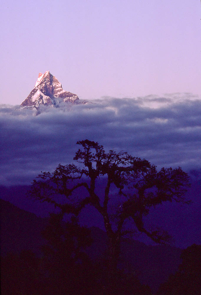 Kodachrome-43.jpg